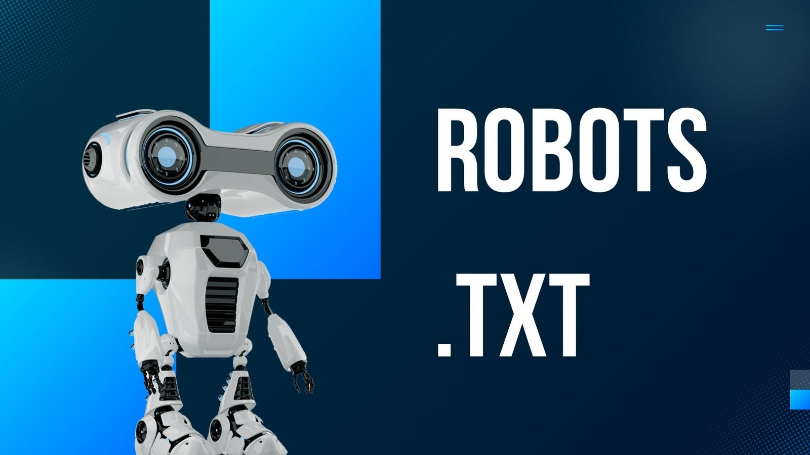 Robots.txt
